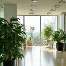 WELL Building Standard Logo and certified interiors